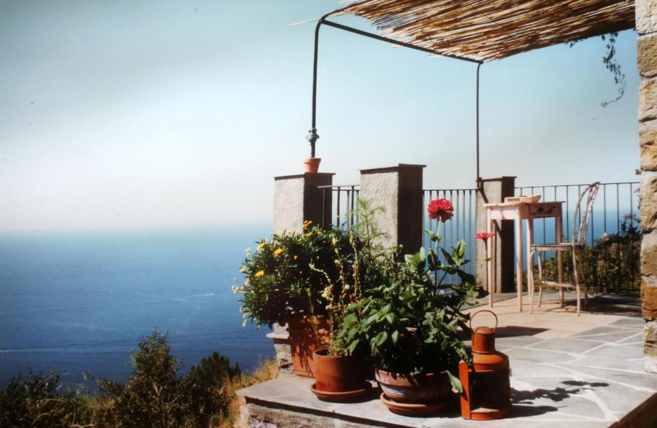 Cottage La Casa Del Pittore Reggimonti Екстер'єр фото