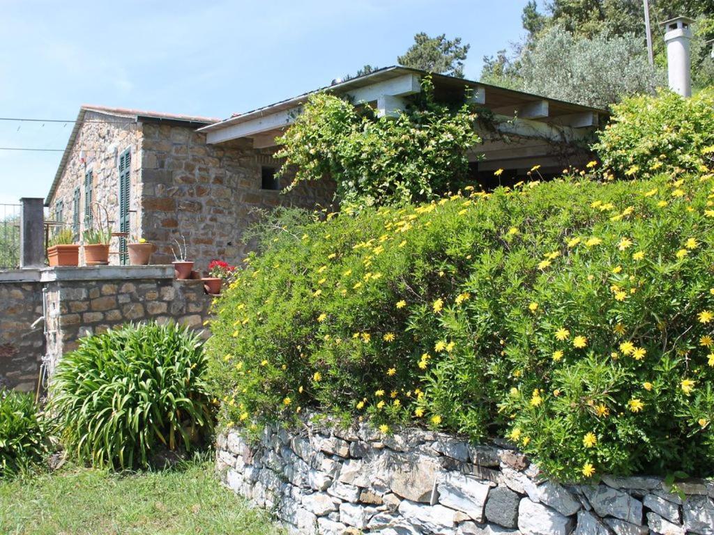 Cottage La Casa Del Pittore Reggimonti Екстер'єр фото
